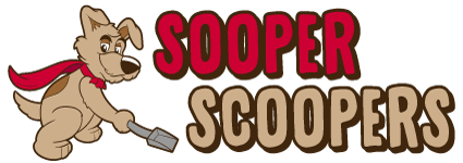 sooper scoopers, pet waste removal tampa florida, dog poop removal tampa florida, dog poop company tampa florida, pet waste tampa florida